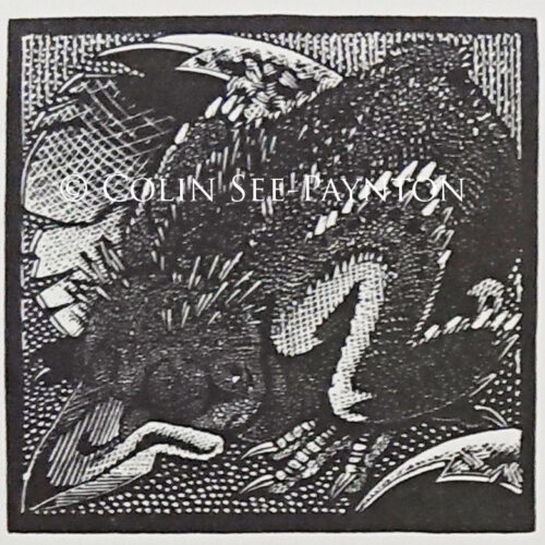 Colin See-Paynton - Raven Hatchling