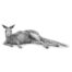 David Dancey-Wood - Roo