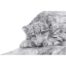 David Dancey-Wood - Snow Leopard Cub
