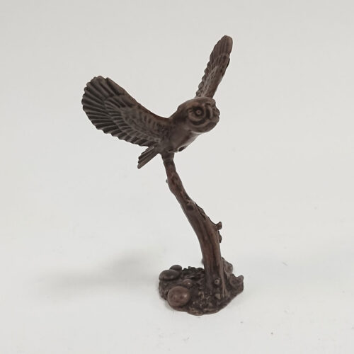 David Meredith - Tawny Owl Flying