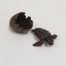 David Meredith - Hatchling and Shell