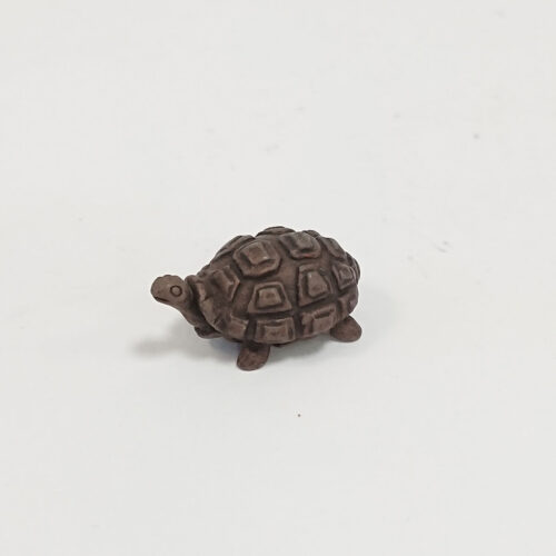 David Meredith - Tortoise