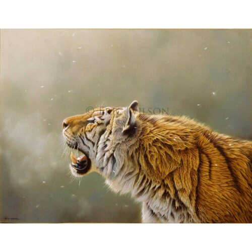 Eric Wilson - Greeting the first snows of Winter