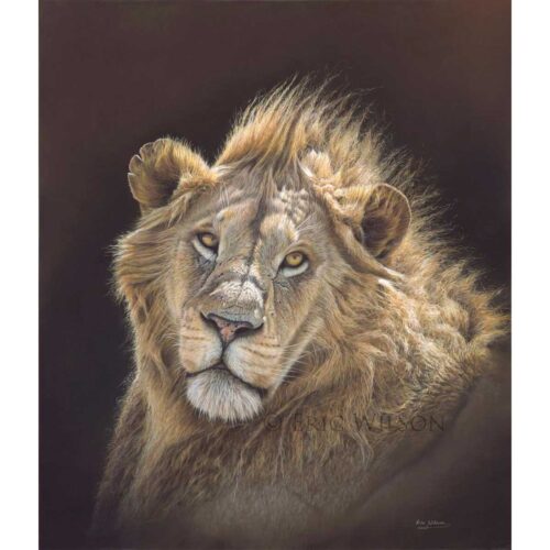 Eric Wilson - Majesty