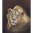Eric Wilson - Majesty