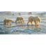 Eric Wilson - Polar Bear Mother and Cubs
