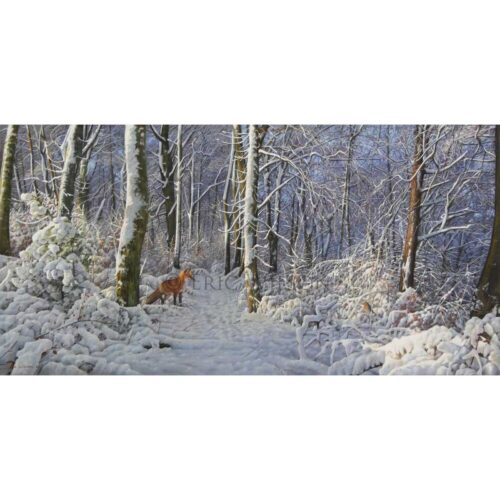 Eric Wilson - Red Fox and Robin