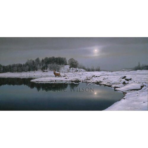 Eric Wilson - Reflections of Winter