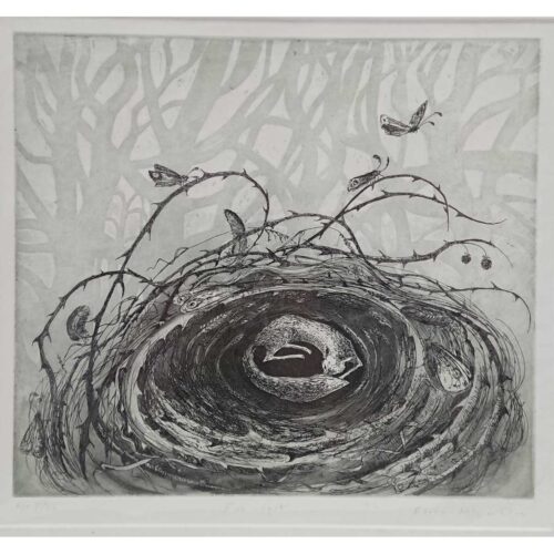 Flora McLachlan - Fox Nest