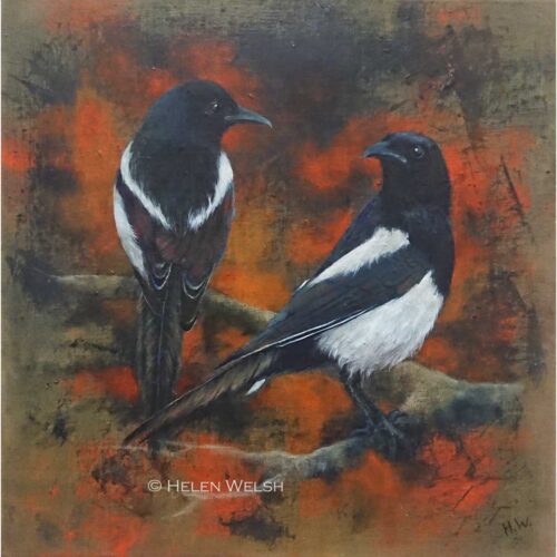 Helen Welsh - Magpies
