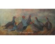 Helen Welsh - Partridges