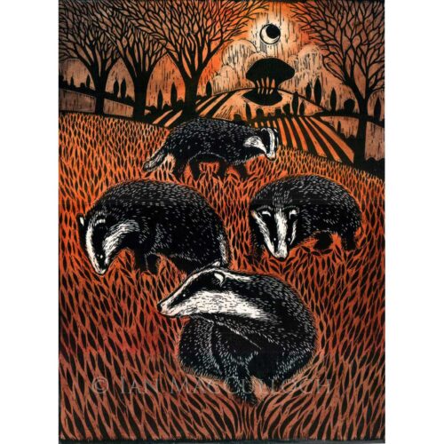 Ian MacCulloch - Badger Family