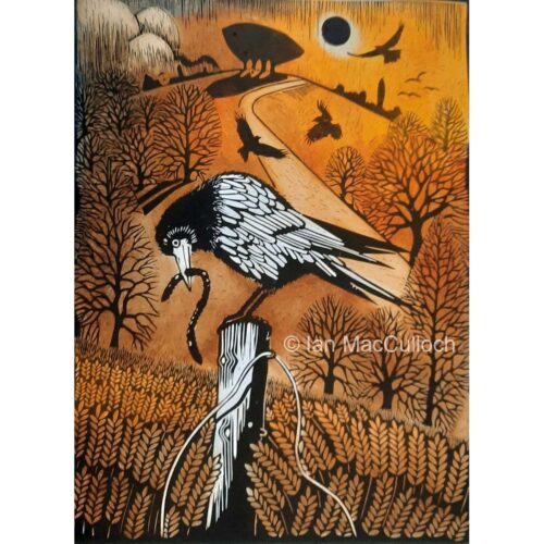 Ian MacCulloch - Early Bird