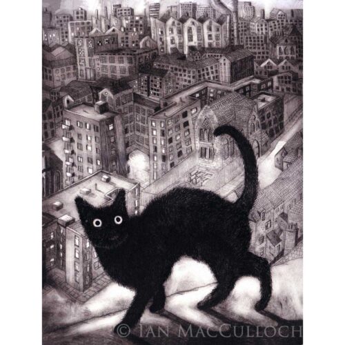 Ian MacCulloch - Moggie
