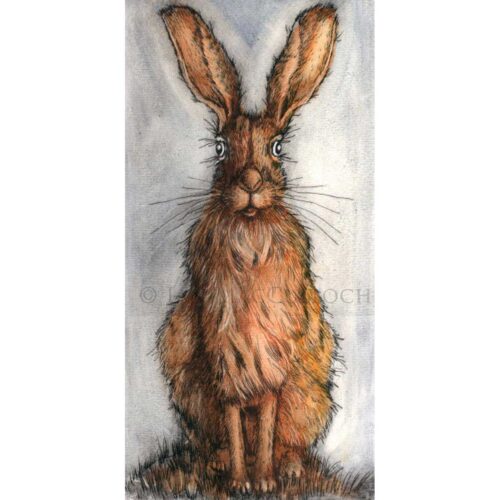 Ian MacCulloch - Sitting Hare