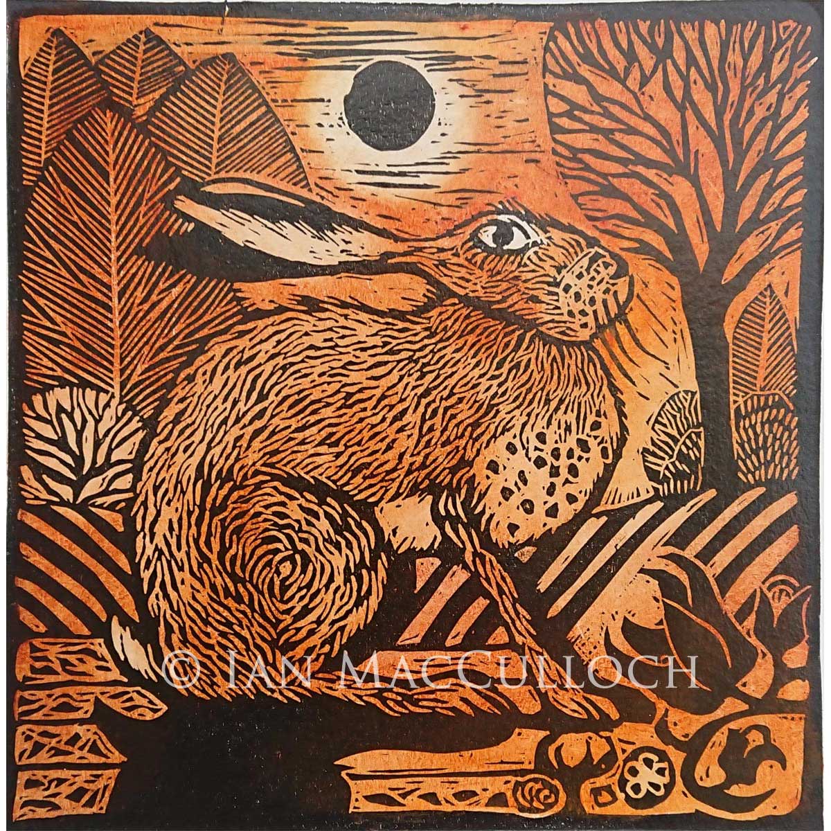 Ian MacCulloch - Sitting Hare