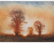 Ian MacCulloch - Three Trees