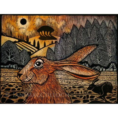 Ian MacCulloch - Smiling Hare