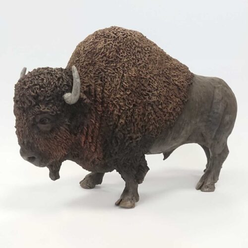 Julian Jardine - American Bison
