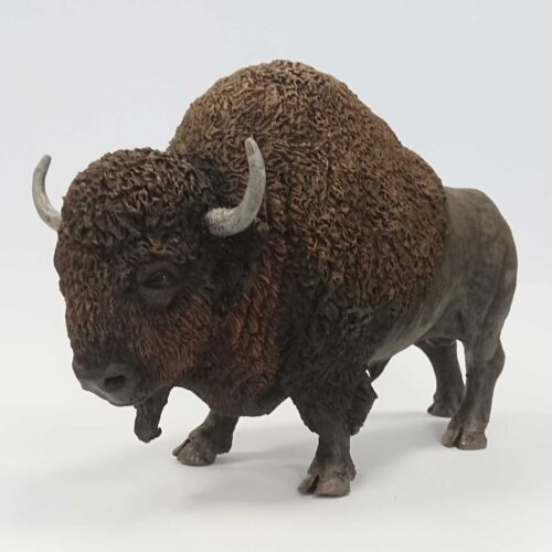 Julian Jardine - American Bison