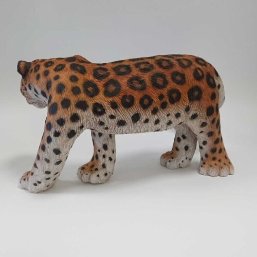 Julian Jardine - Amur Leopard