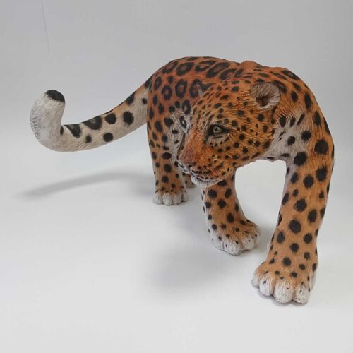 Julian Jardine - Amur Leopard