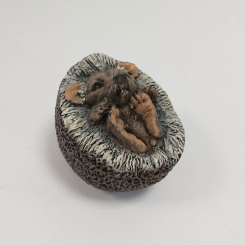 Julian Jardine - Baby Hedgehog
