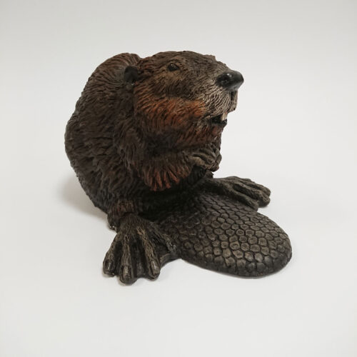 Julian Jardine - Beaver
