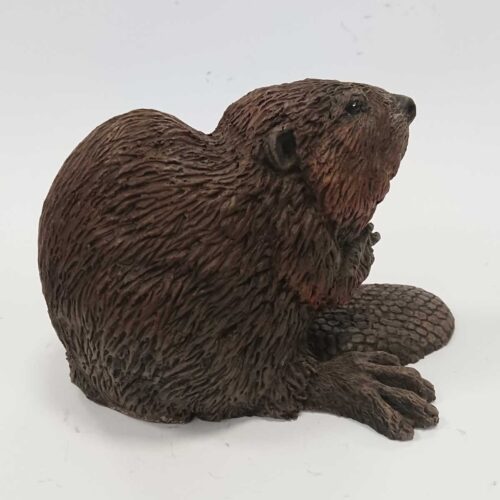Julian Jardine - Beaver