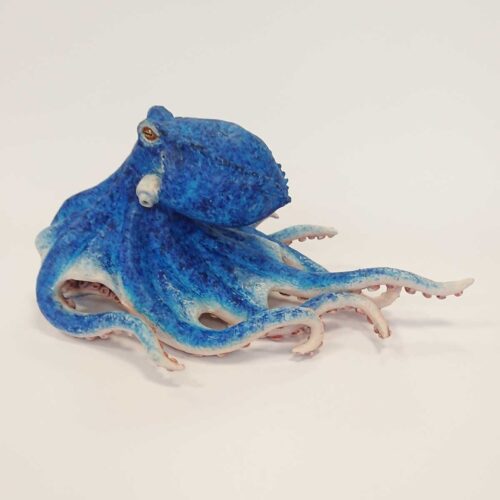 Julian Jardine - Blue Octopus Roaming