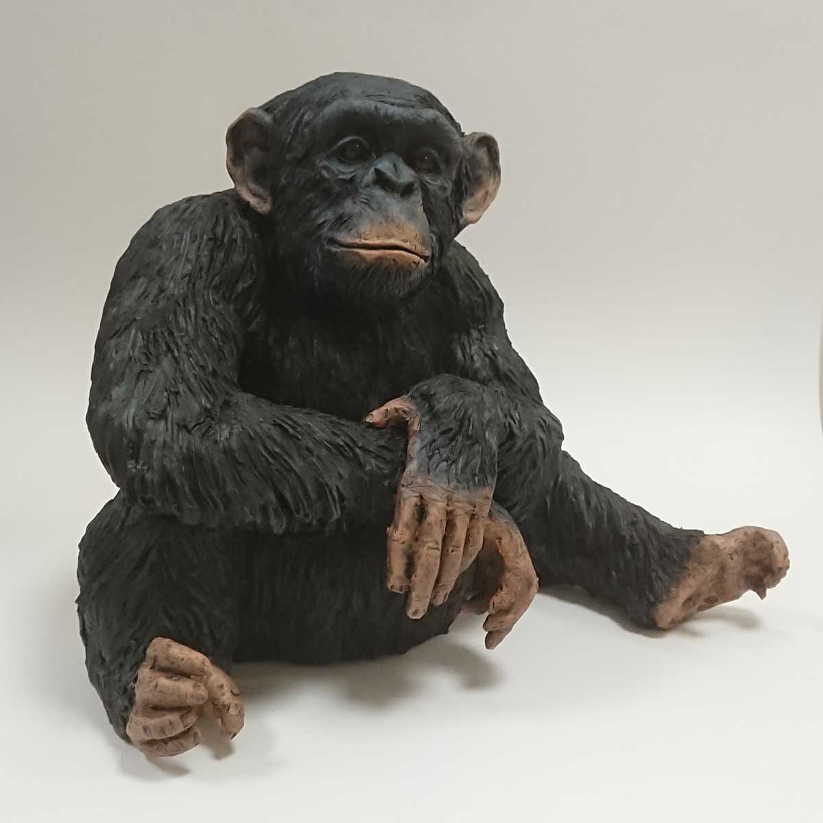 Julian Jardine - Chimpanzee Sitting