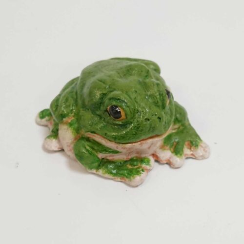 Julian Jardine - Green Tree Frog