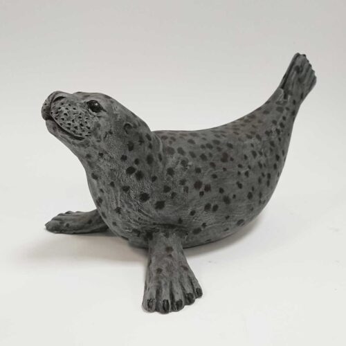 Julian Jardine - Grey Seal
