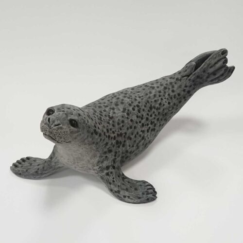Julian Jardine - Grey Seal