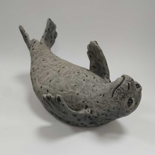 Julian Jardine - Grey Seal