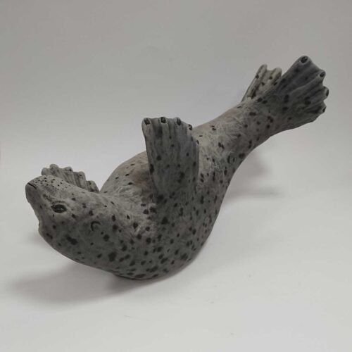 Julian Jardine - Grey Seal