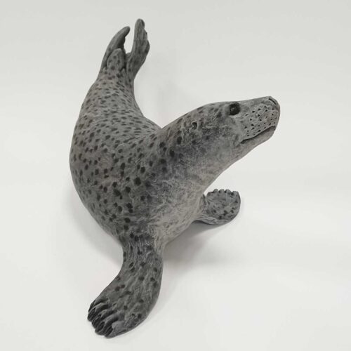 Julian Jardine - Grey Seal