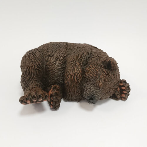 Julian Jardine - Bear Cub Sleeping