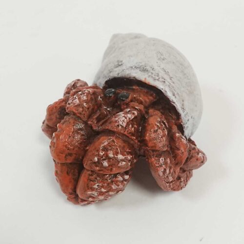 Julian Jardine - Hermit Crab