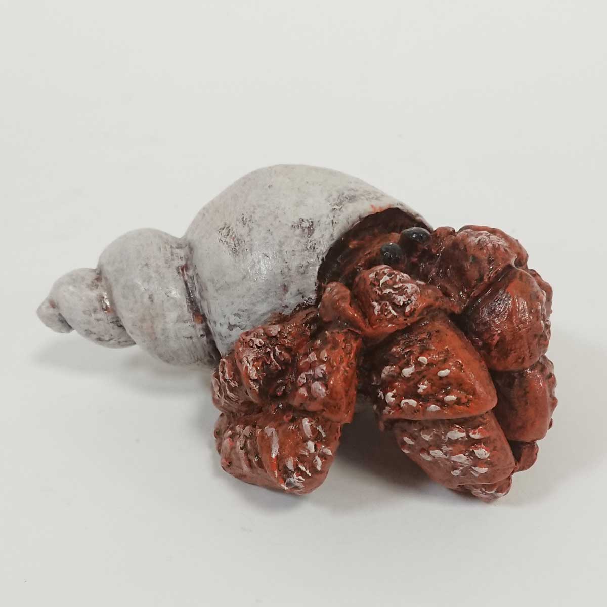 Julian Jardine - Hermit Crab