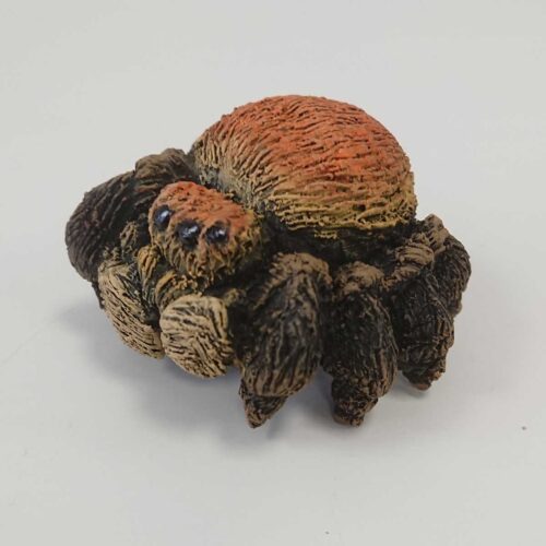 Julian Jardine - Jumping Spider No.2