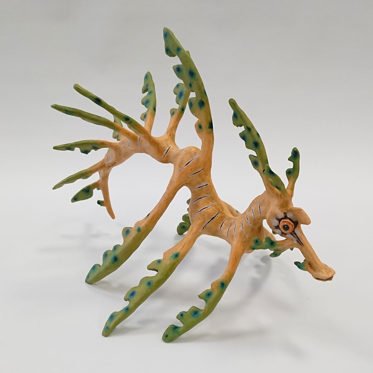 Julian Jardine - Leafy Sea Dragon
