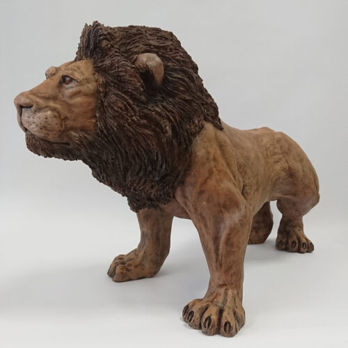 Julian Jardine _ Lion