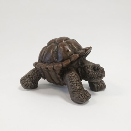 Julian Jardine - Mini Tortoise