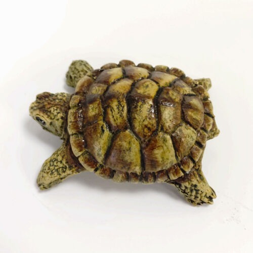 Julian Jardine - Mini Turtle
