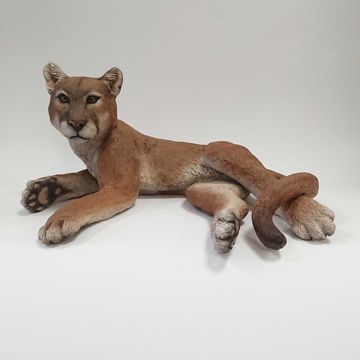 Julian Jardine - Mountain Lion