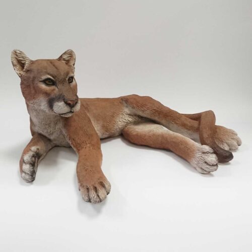 Julian Jardine - Mountain Lion