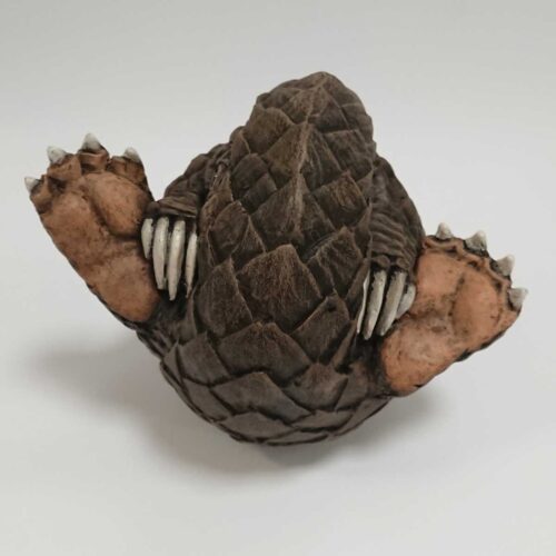 Julian Jardine - Pangolin front view