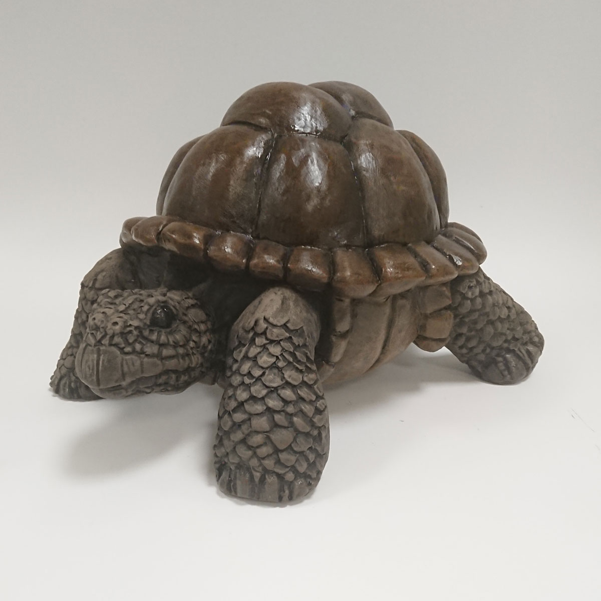 Julian Jardine - Medium Tortoise
