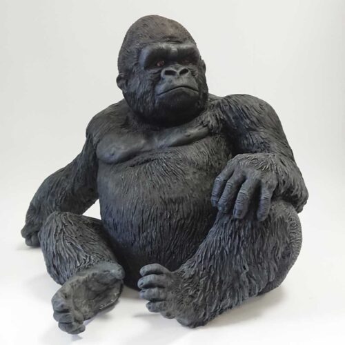 Julian Jardine - Silverback Gorilla